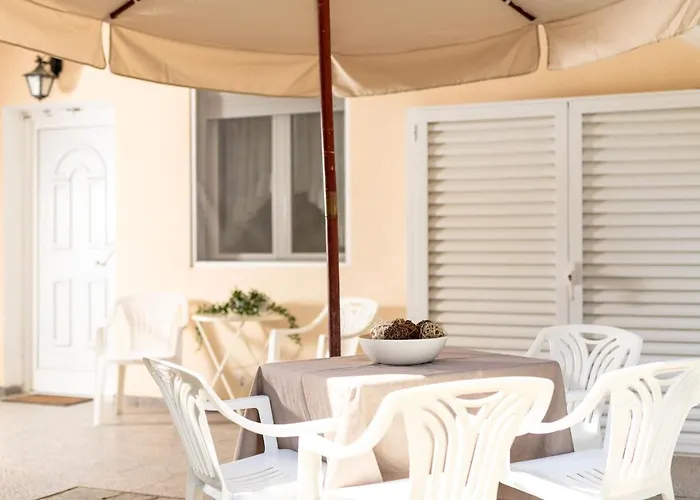 F & B Summer Collection - Paliouri
